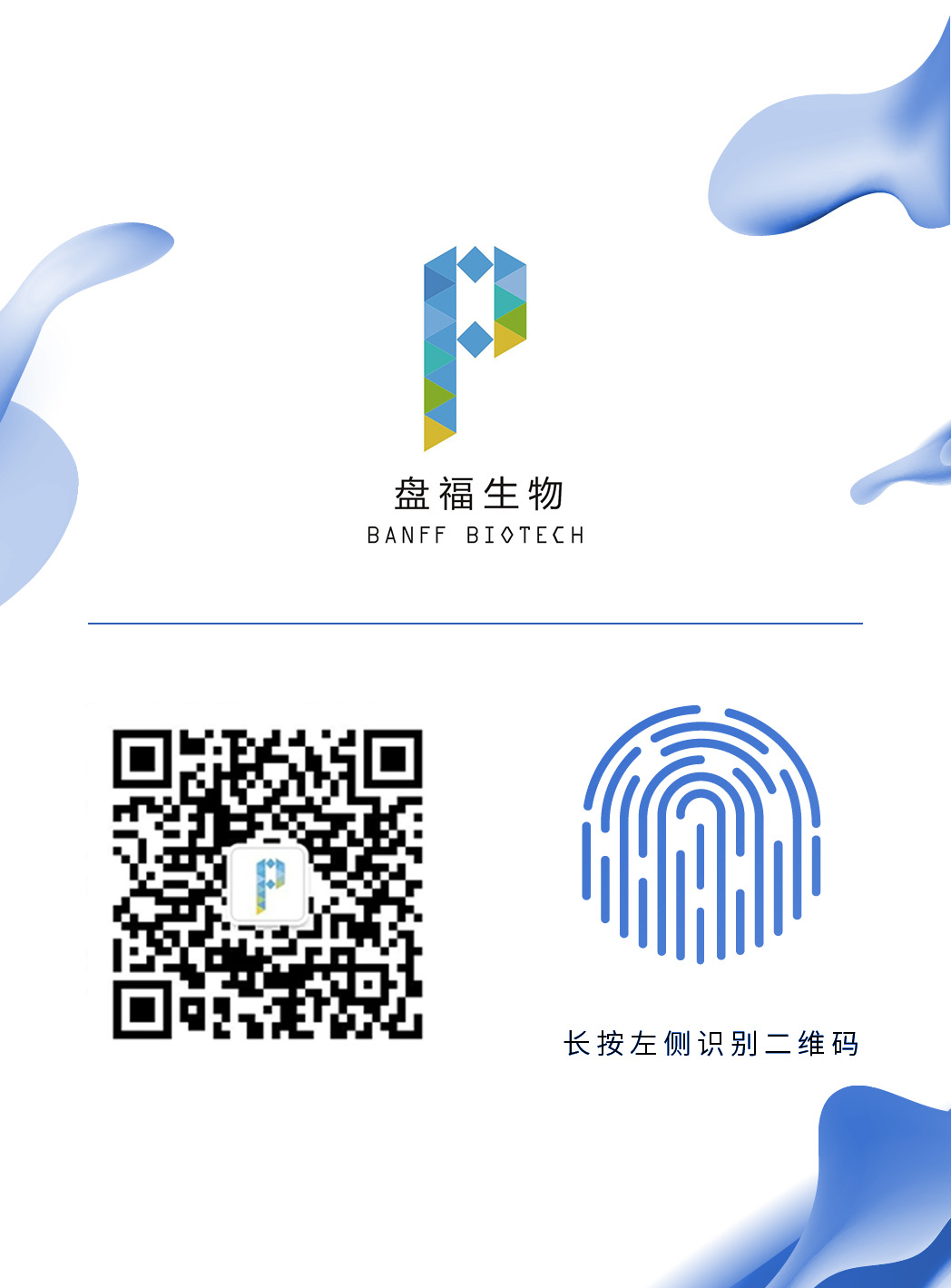 1702955369698102.jpg P.jpg